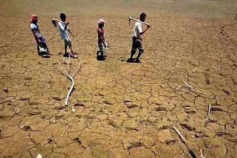 File photo of drought-hit Maharashtra