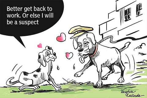 Illustration by Varghese Kallada