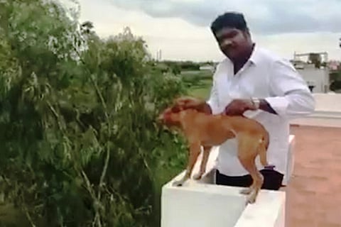 Screen grab of the video clip showing Gowtham Sudarshan, throwing the dog from terrace of a building