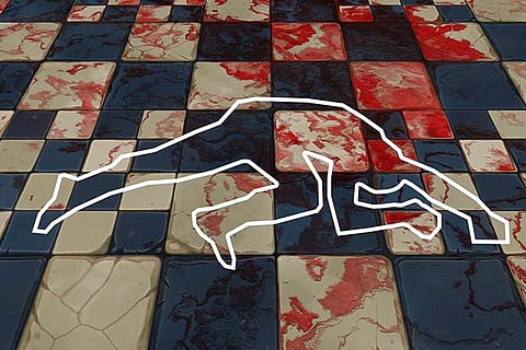 the above picture is a representative image