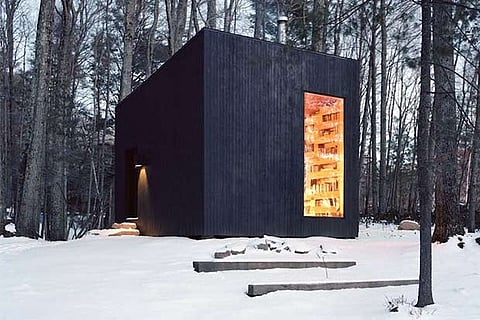 Secret library in woods is every bookworm’s dream come true