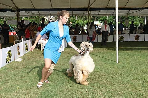 A participant with her dog at the show (Photo: Manivasagan N)