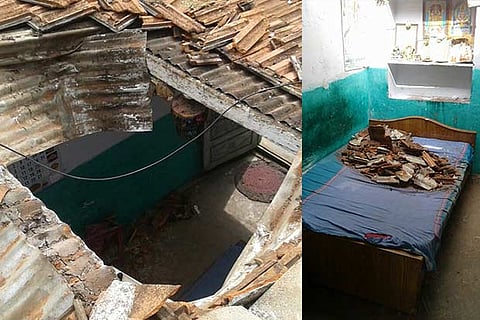 The roof that broke under the weight of the bison and the bed in which it landed inside the house
