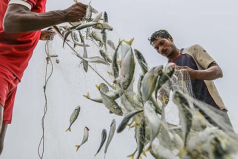 Representative image for fisheries 