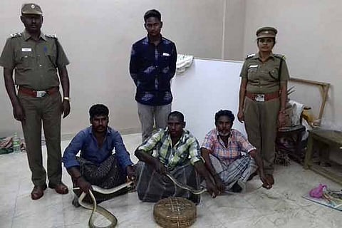 The snake charmers in police custody in Tirupur
