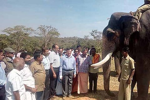 Temple elephant mahouts and forest department officials at the training programme