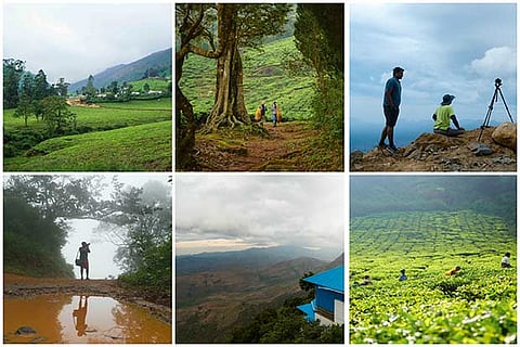 Megamalai, a hidden paradise