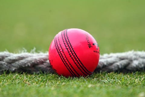 Australia captain, coach support pink ball matches