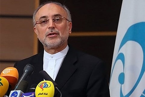 Ali Akbar Salehi