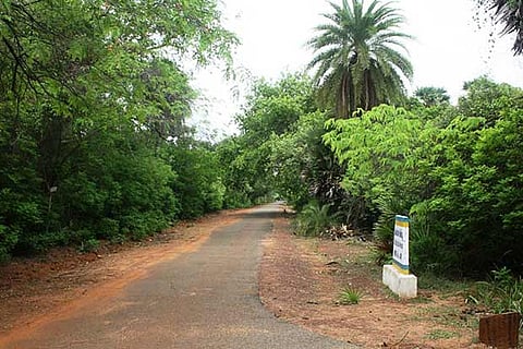 Photo: Thirunaranan KVRK