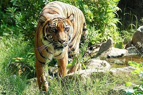 Representative Image&nbsp;