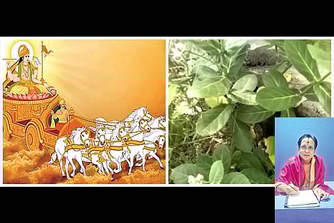 Get rid of sins, observe Ratha saptami