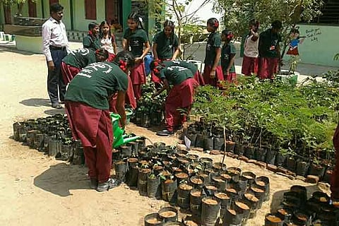 Students tending to plants in the clean environs of Jaigopal Garodia government girls? school
