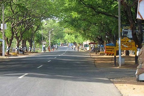 A file picture of Tiruvannamalai Girivalam path