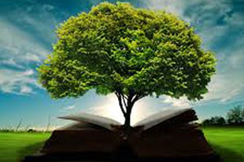 Wisdom brings lasting happiness