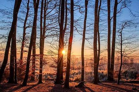 Representative Image