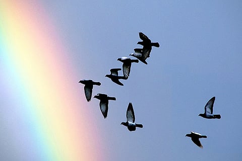 Inner peace comes from empathy