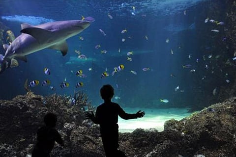 Life's Lessons: Barriers exist only in one’s mind