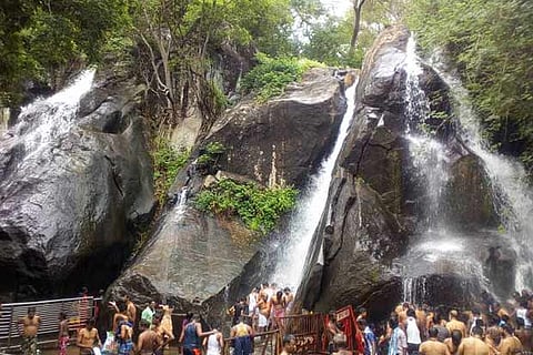 Tourists at the falls in Courtallam