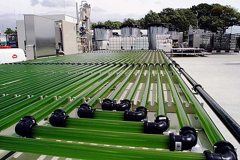 Representative Image (Image: Feed Navigator)