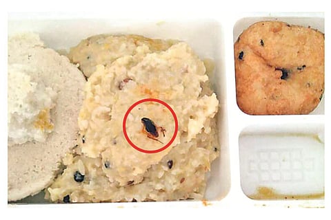 Cockroach (circled) in the food served by a reputed hospital canteen in Chennai