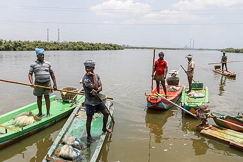 Fishermen involved in fishing at Ennore creek (Photo: Justin George)