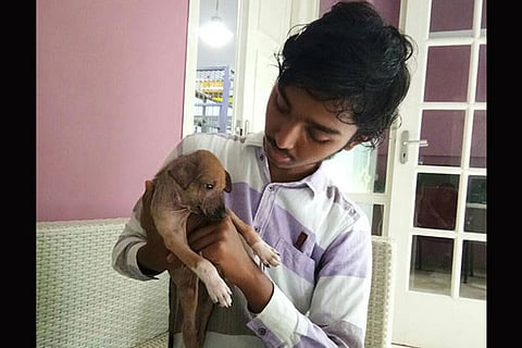 Sai Vignesh with a pup rescued by him