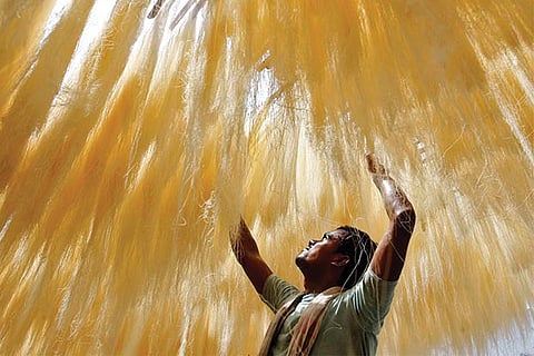 Vermicelli major to expand beyond Tamil Nadu