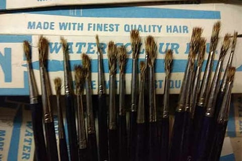 Some of the 26,000 brushes made of mongoose hair that were seized from a wholesale dealer