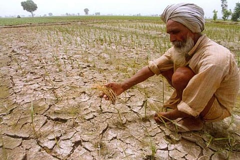 Crop losses due to heat waves adversely affect the income of farmers