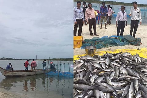 Backwaters in Vennangupatti where three tier cage system is used to cultivate sea bass