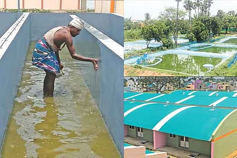 (Clockwise from top) Raceway systems being readied, Lined ponds,facility. (Photos: Justin George)