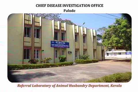 Image Credit: Ivakerala