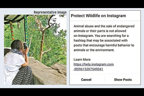 Activists alert Instagram after 292 per cent hike in wild animal selfies