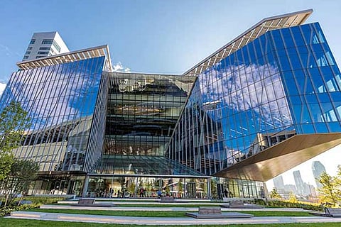 Image Courtesy: Max Touhey; Cornell University