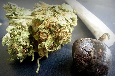 Representative Image (Image: herb.co)