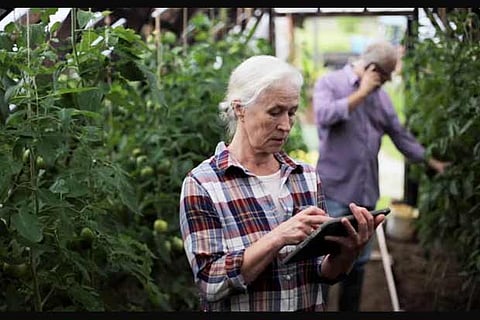 Representative Image