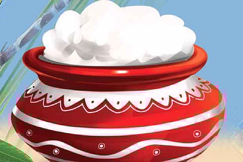 Legends of the festival