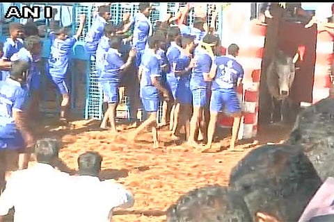 Jallikattu event organised in Madurai