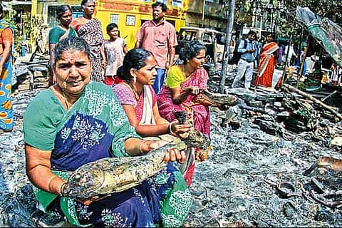A fisherwoman with the catch spoilt by the riots last year