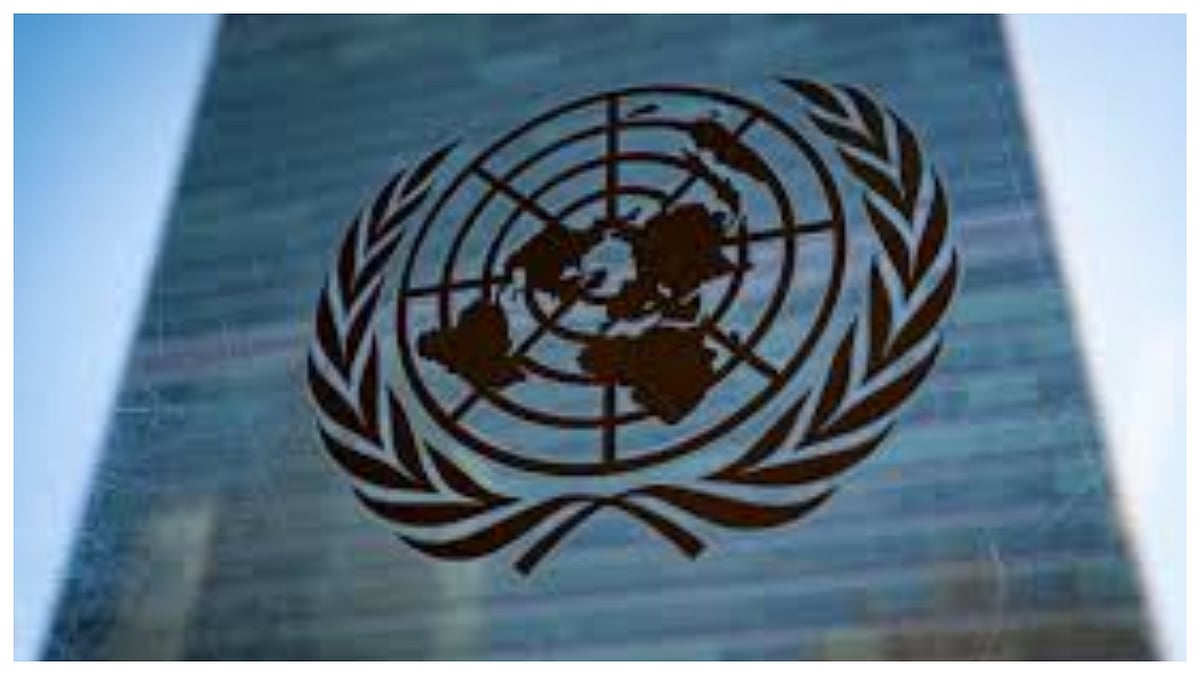India rejects report by UN human rights expert that says Indian youth ...