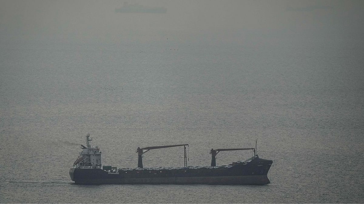 Indian ships reverse course in Hormuz strait, vessel tracker says