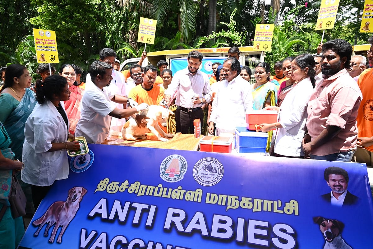 Tiruchy civic body targets more than 11,000 street dogs to undergo ...