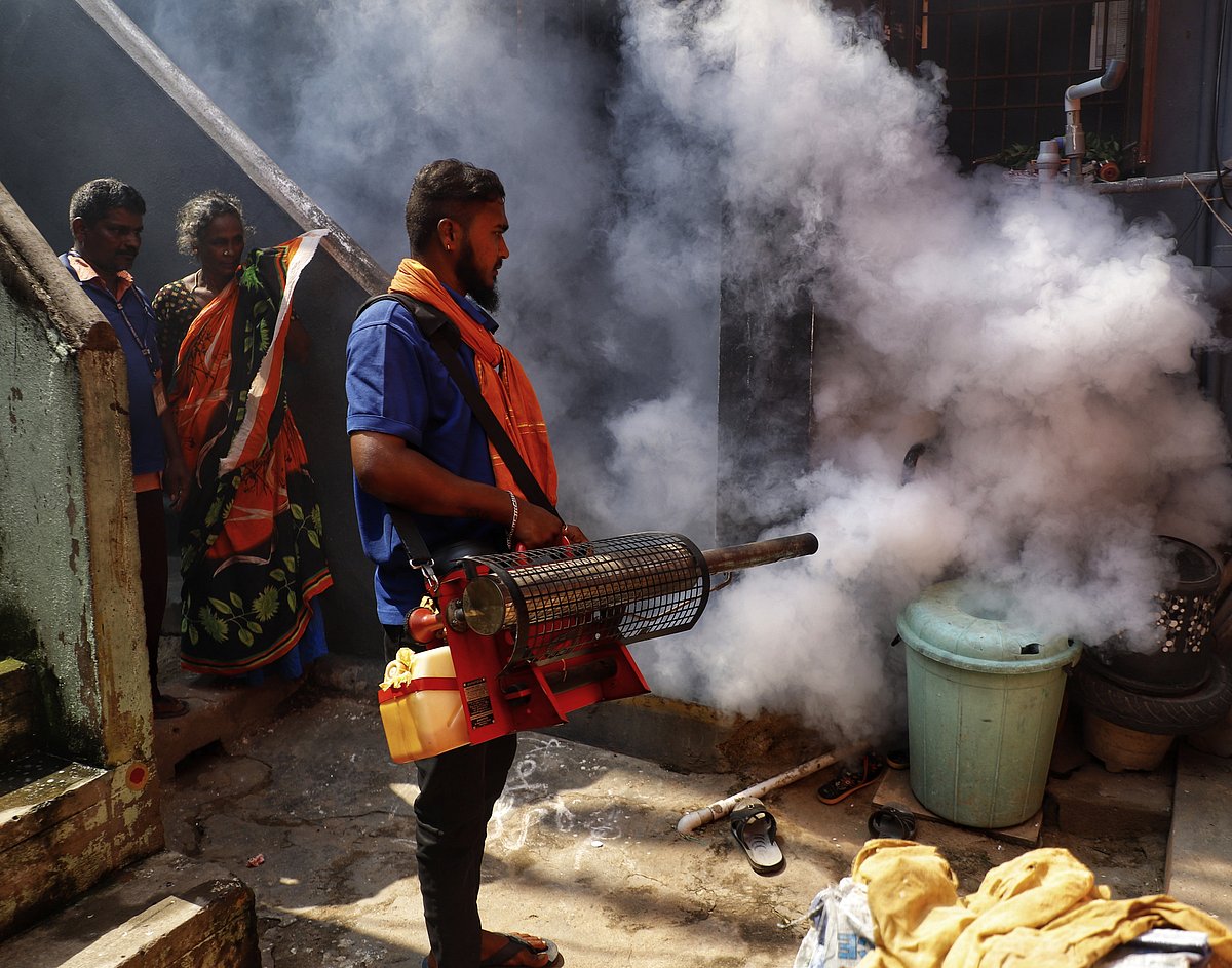 Dengue & monsoon fevers in Tamil Nadu: Symptoms, testing, platelet ...