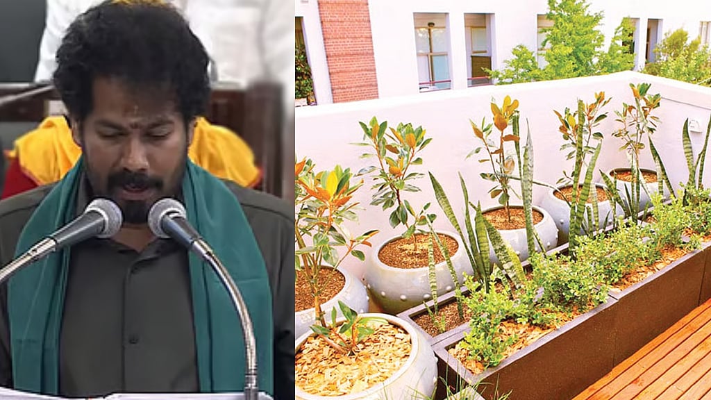 TN Agri Budget 2026 | Vetri Illatharasi Veetu Thottam: Home gardens ...