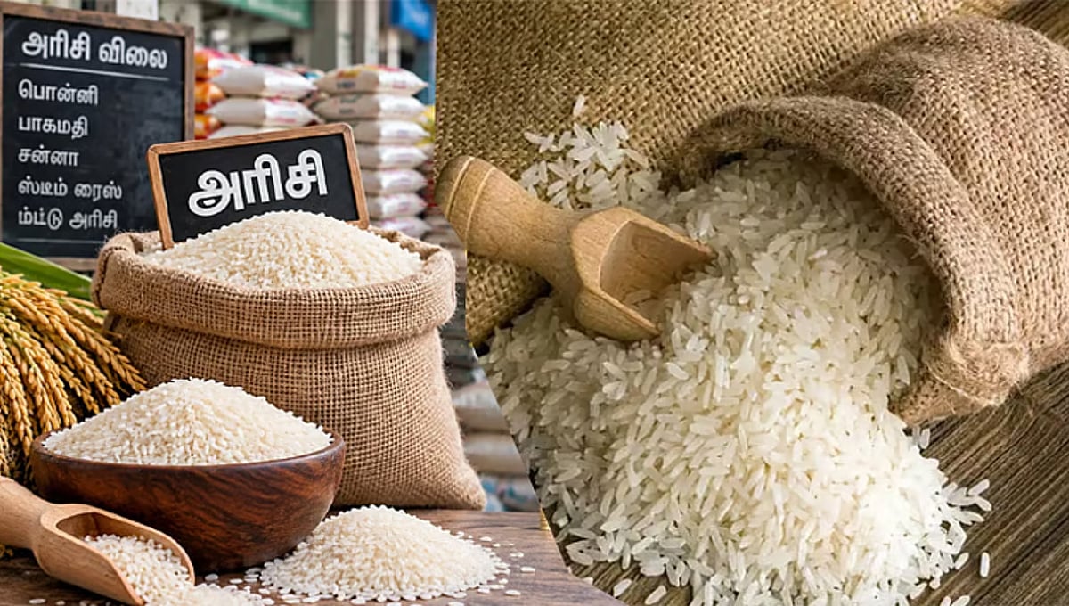 Tamil Nadu mulls selling rice at Rs 40-Rs 50 per kg in cooperative stores