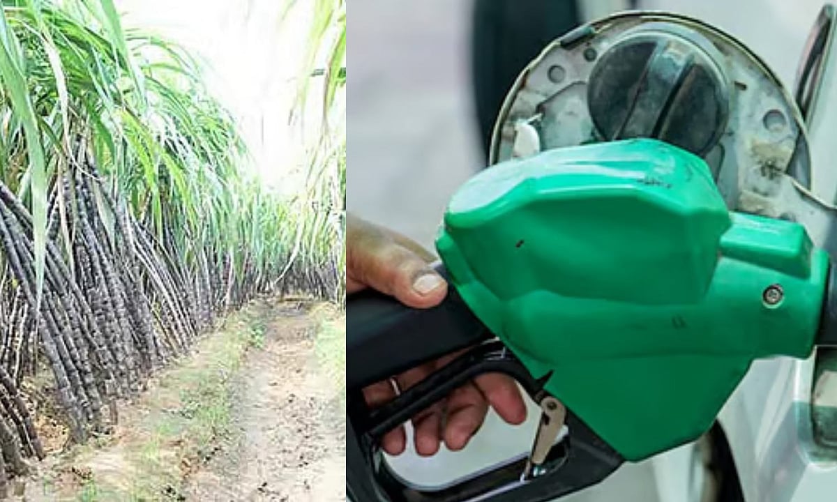 India bars sugar-based ethanol in 2026-27 tender, cuts maize incentive