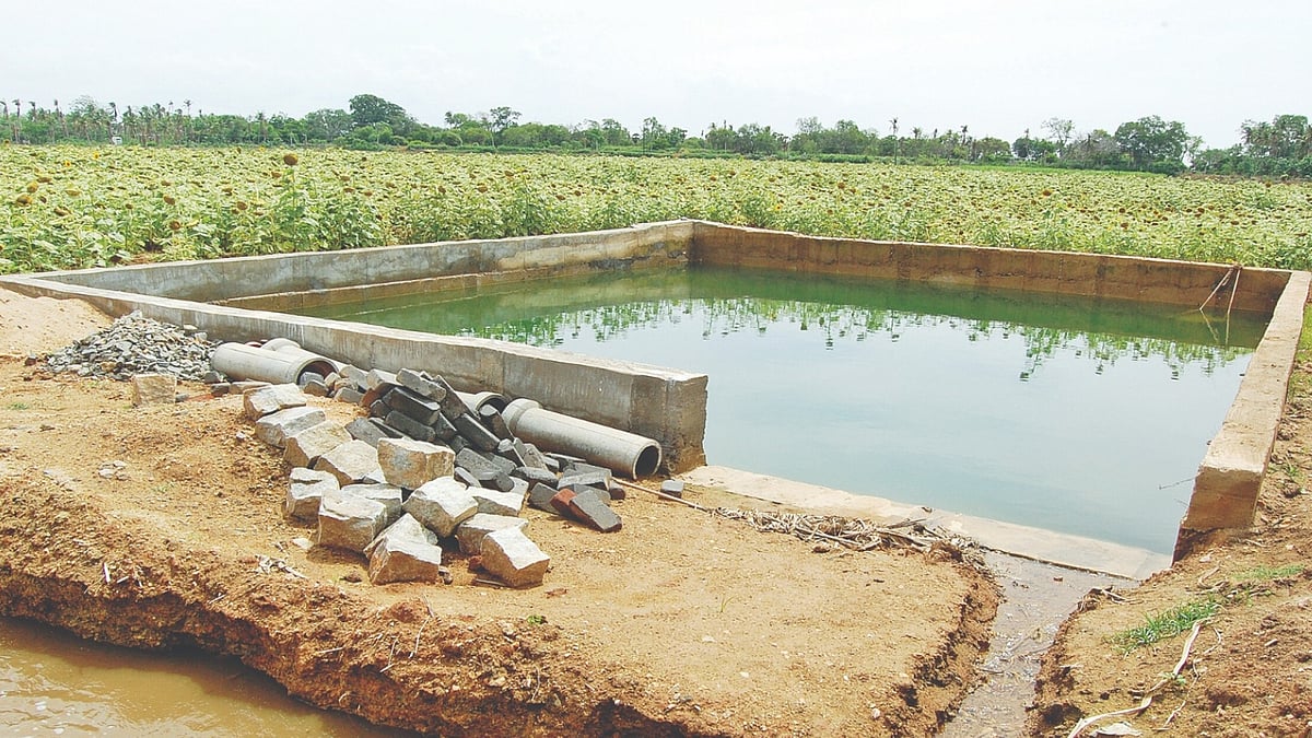 Experts urge farmers to revive farm ponds to save next cultivation cycle