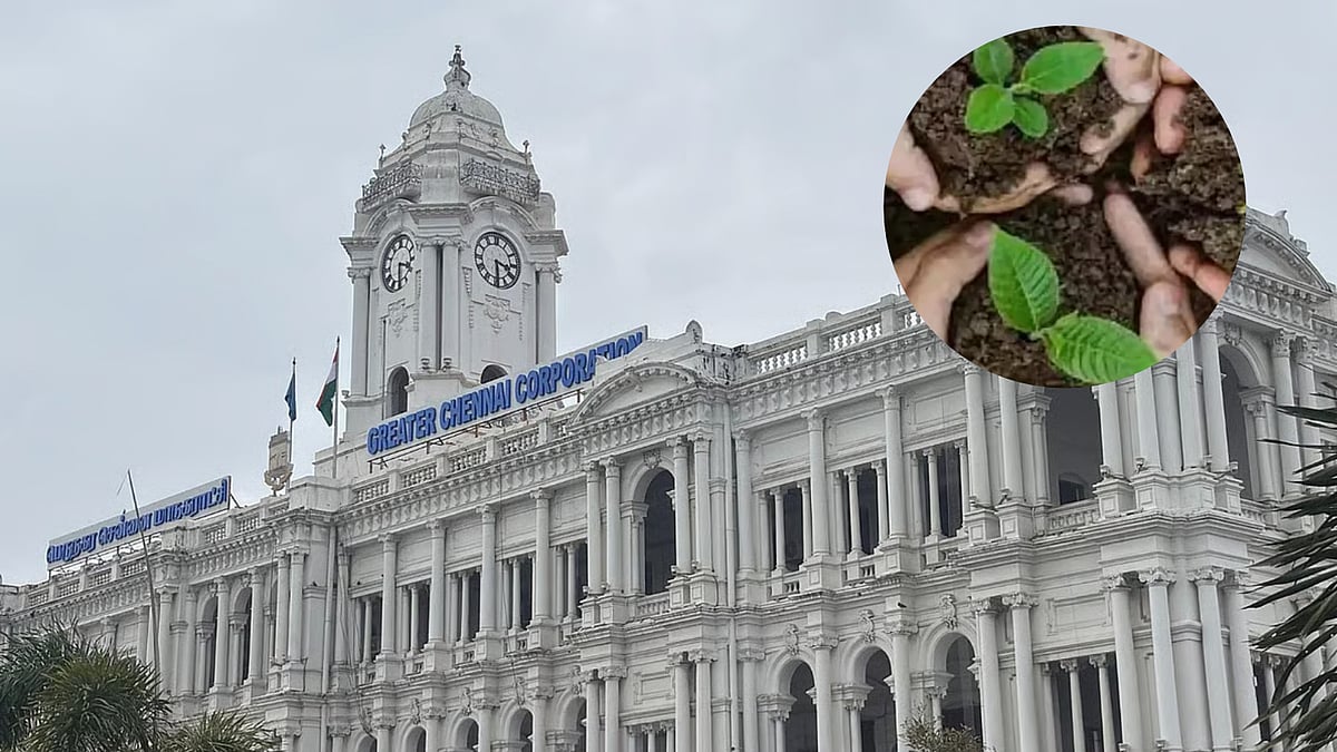 Chennai Corporation identifies land to plant for 10 lakh saplings ...