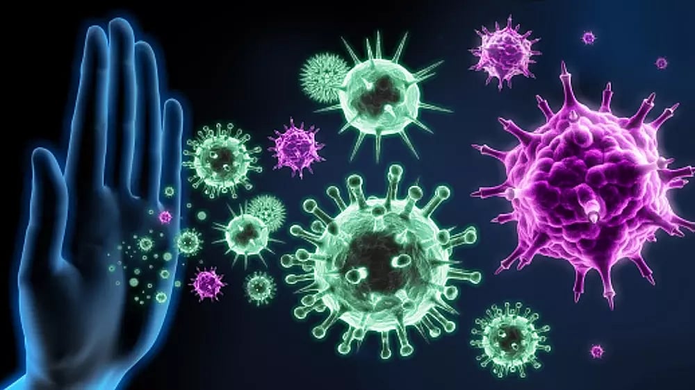 Researchers find how body tolerates food without immune system attack